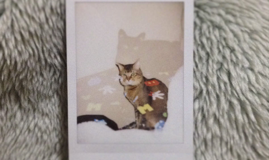 Doble exposición ¡con tu Instax Mini 9!
