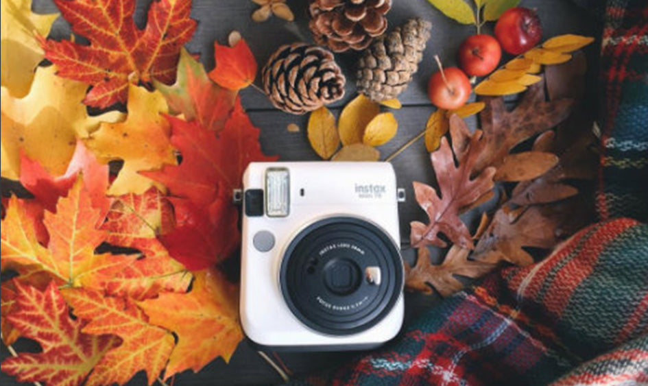 Fotografía Otoñal, captura el color de la temporada