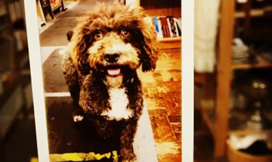 #Petlovers, #InstaxLovers