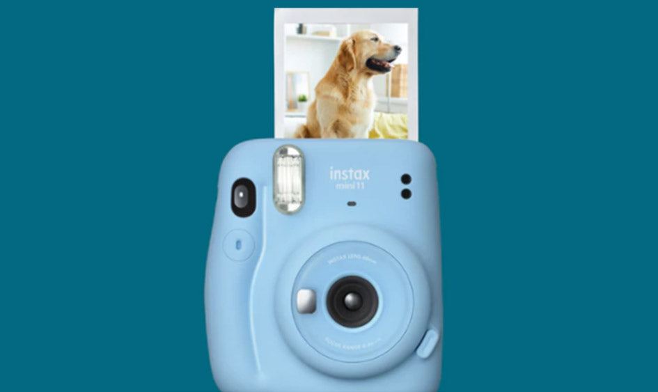 Tu instax imprescindible basado en tus razas de perros favoritas