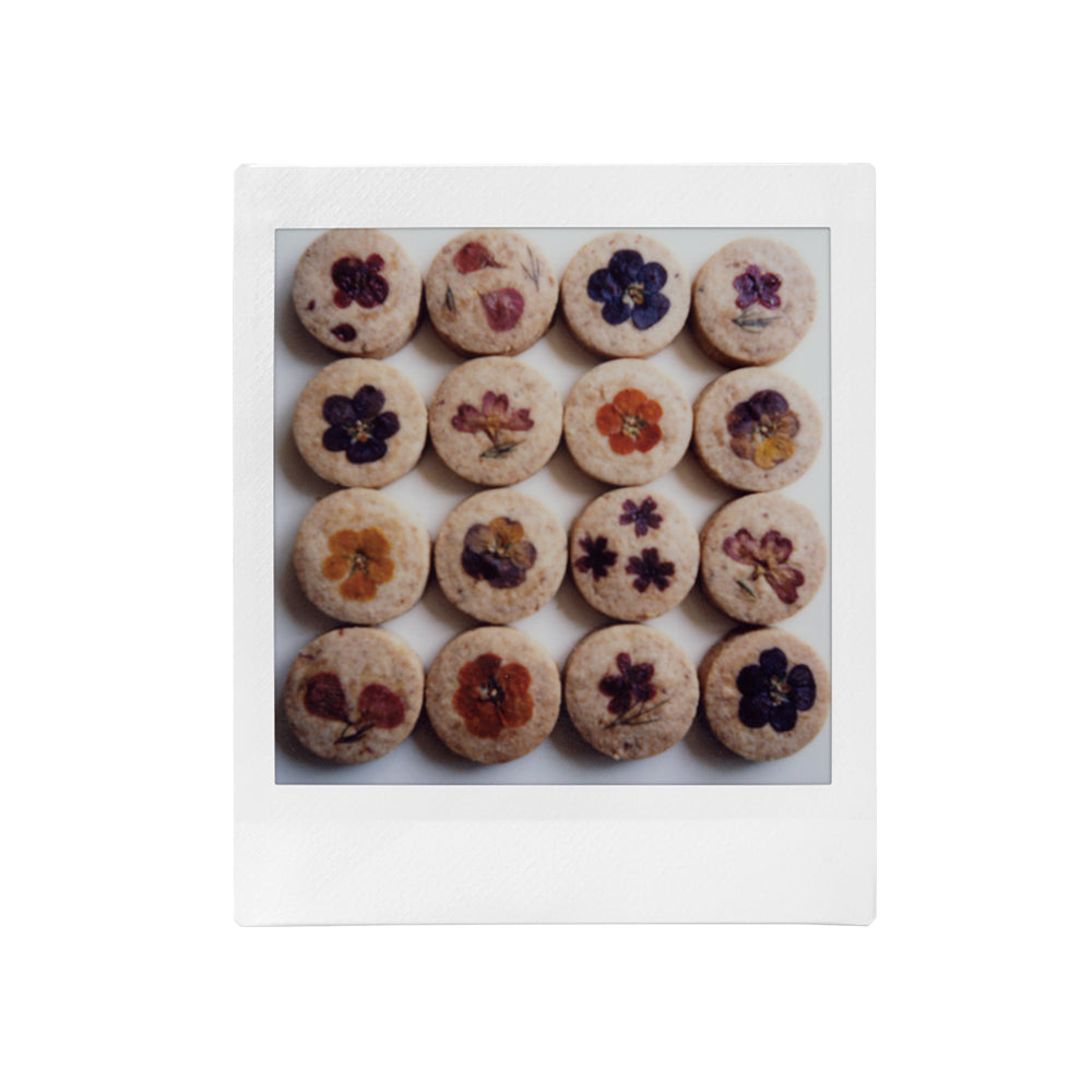 Película instax SQUARE 10 fotos